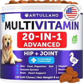 Do Not Sell On Amazon Dog Multivitamin Chewable With Glucosamine 20 In 1 Dog Vitamins And Supplements Senior & Puppy Multivitamin For Dogs Pet Joint S