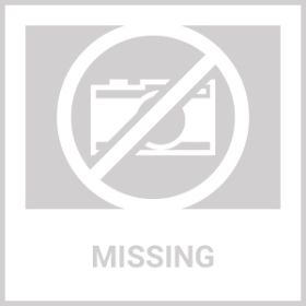 Heated Water Bowl For Dogs Ceramic Heated Pet Water Bowl Food Warmer USB Powered Thermal Pet Bowl Provide Fresh Non Freezing Drinkable Water (Option: 1Bowl)