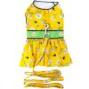 Ladybugs and Daisies Dog Dress with Matching Leash