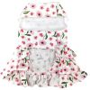 Spring Wildflower Dog Dress with Matching Leash
