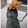 Top Dog Flight Harness Coat by Doggie Design